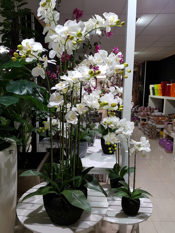 Orquídeas artificiales, Comprar