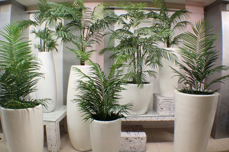 Plantas artificiales en venta en Spokane