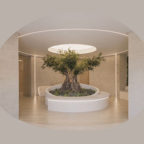 Interiorismo y Decoración con Plantas Artificiales