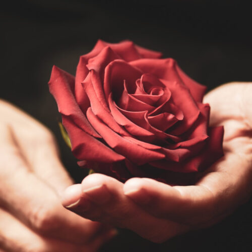 Flores Artificiales para Todos los Santos